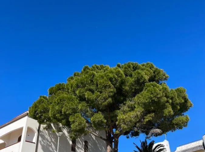 Belle Vie Luxury House Appartement Montepaone